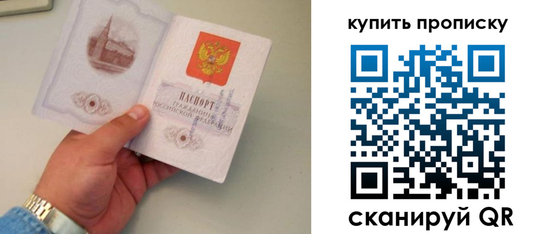 прописка для работы в Рошале
